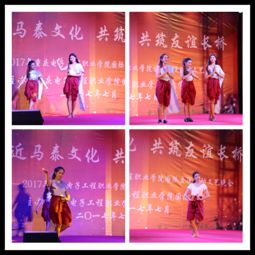 走近馬泰文化，共筑友誼長橋——我校中外學生國際交流活動文藝晚會成功舉辦